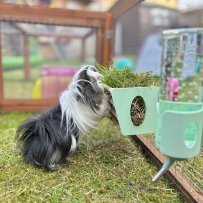 SINGLE Cage Mounted Hay Rack - Pastel Purple - TRADE