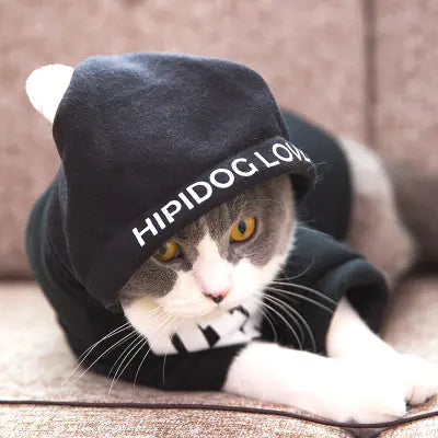 Funny Cat Hoodie for Kittens - Stylish Fall Outfit