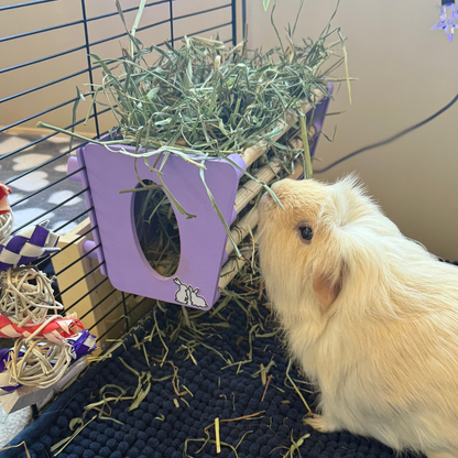 SINGLE Cage Mounted Hay Rack - Pastel Purple - TRADE