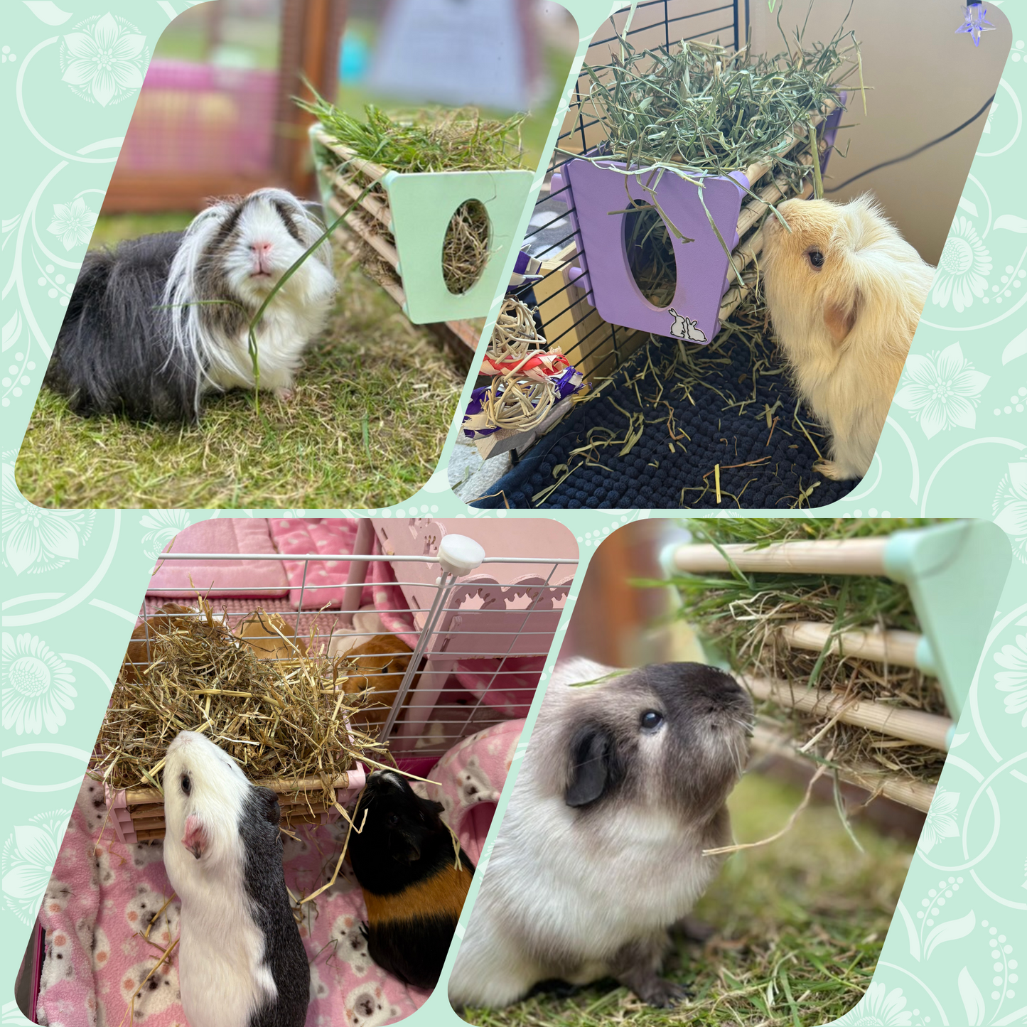 SINGLE Cage Mounted Hay Rack - Pastel Purple - TRADE
