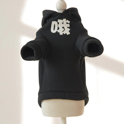Funny Cat Hoodie for Kittens - Stylish Fall Outfit