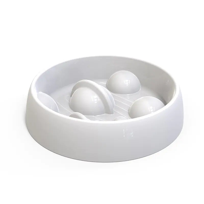 Amazon Starry Sky Slow Feed Dog Bowl - High Anti-Spill