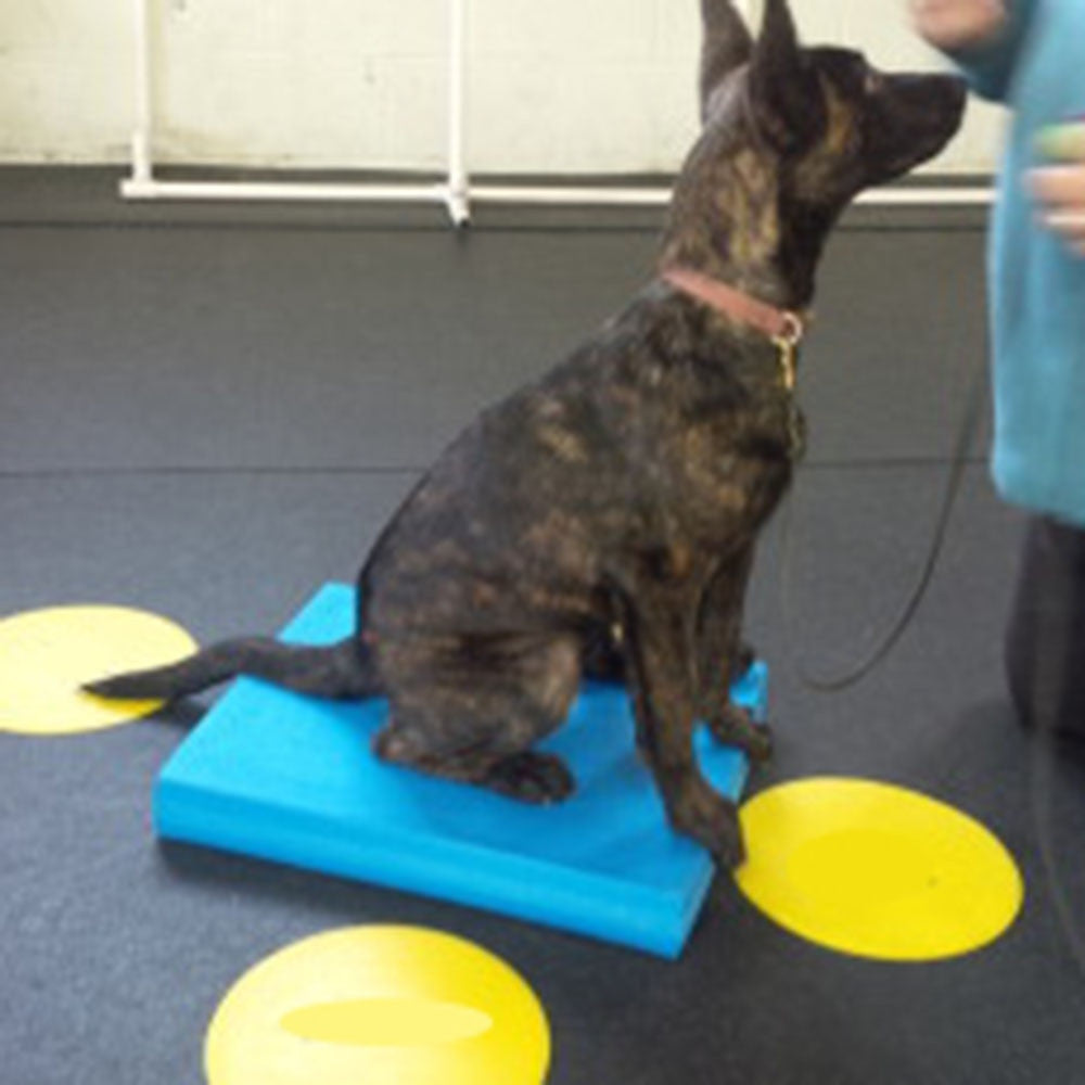 Pet-Specific Balance Ladder Soft Tread