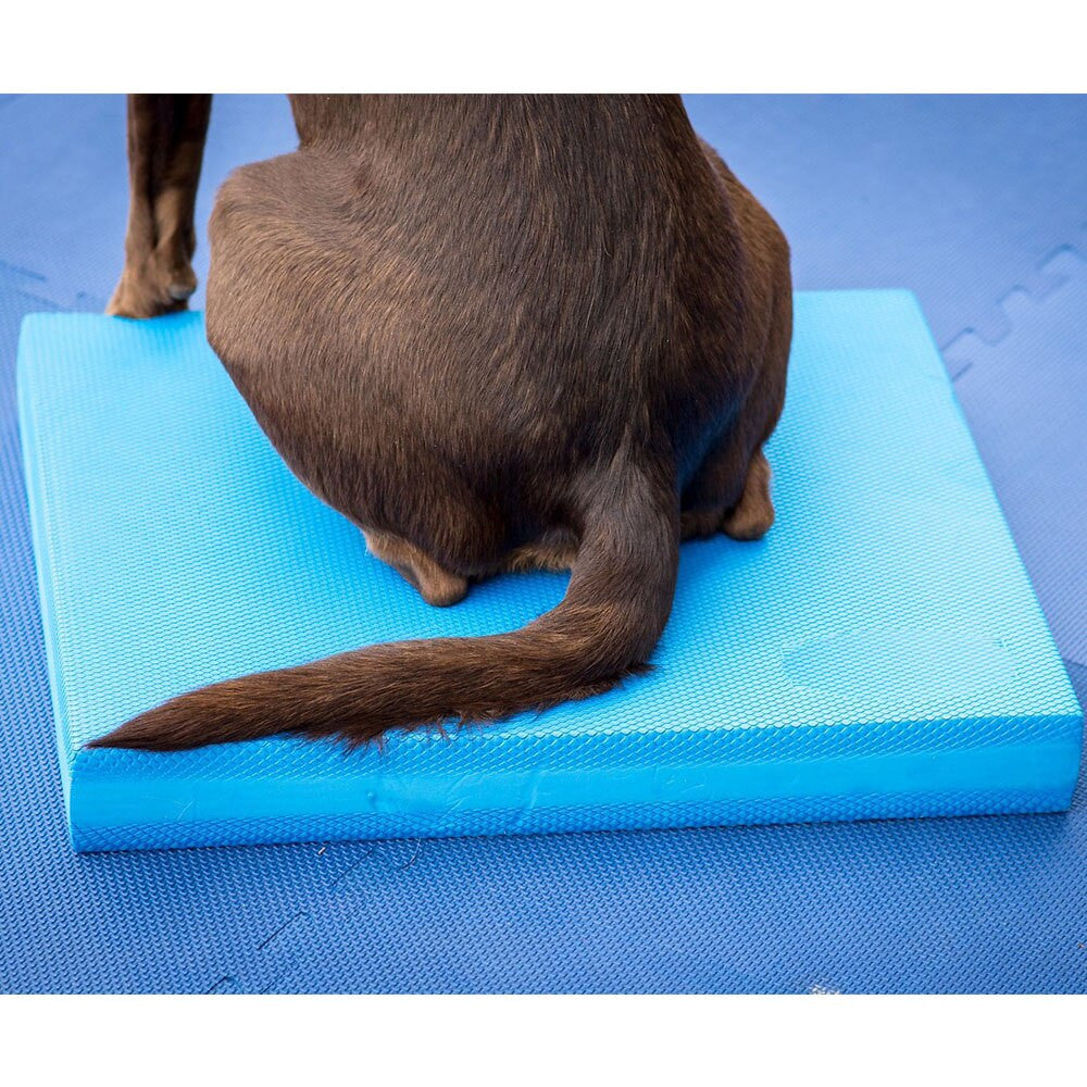 Pet-Specific Balance Ladder Soft Tread