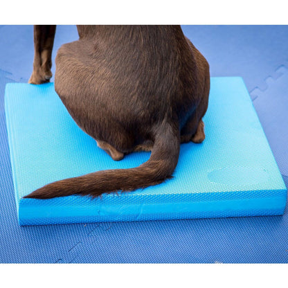 Pet-Specific Balance Ladder Soft Tread