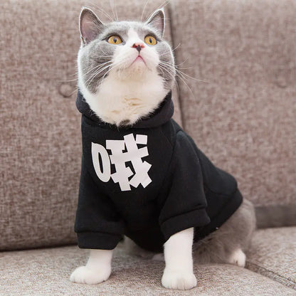 Funny Cat Hoodie for Kittens - Stylish Fall Outfit