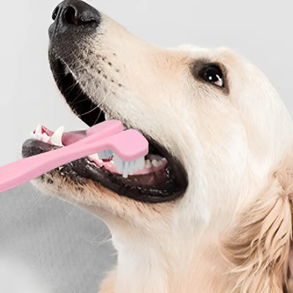 Double-Head Dog and Cat Toothbrush - Four Colors